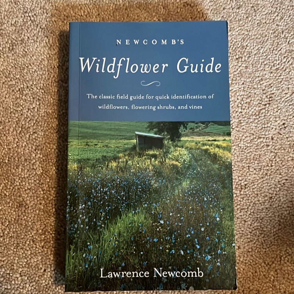Newcomb’s Wildflower Guide